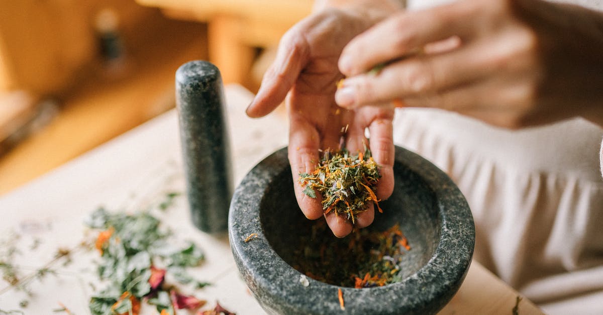 How to determine quality of spices - Person Holding Green Plant in Gray Pot