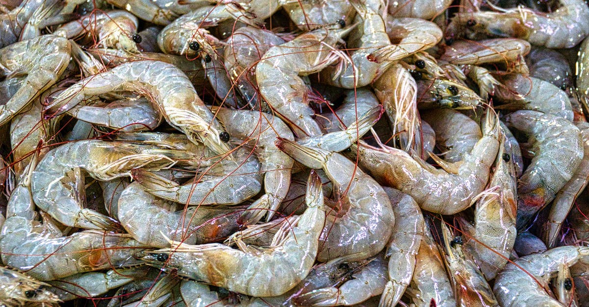 How to differentiate sea prawns from farmed ones? - Fresh Prawns
