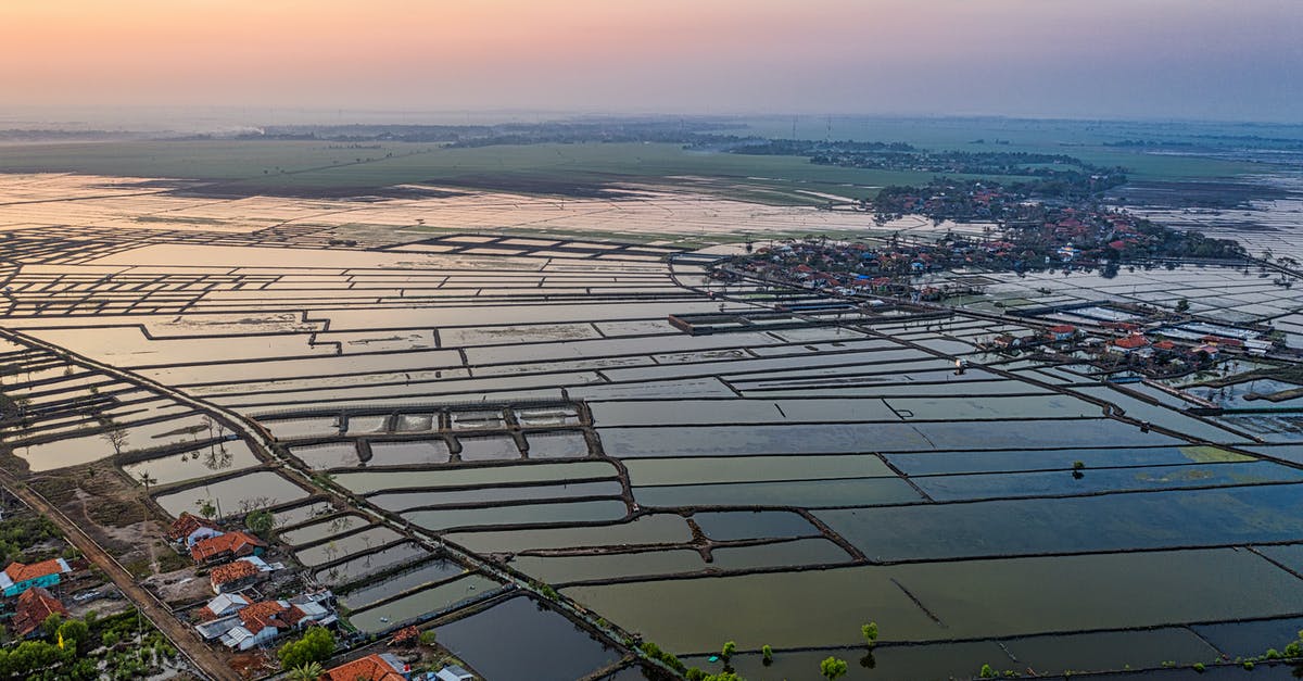 How to differentiate sea prawns from farmed ones? - Aerial view of rectangular shaped ponds in rows against constructions and sea in countryside at sunset