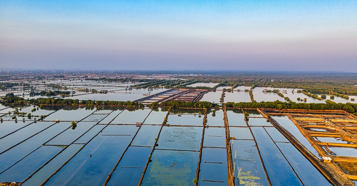 How to differentiate sea prawns from farmed ones? - Fish farm with ponds against endless sea under bright sky