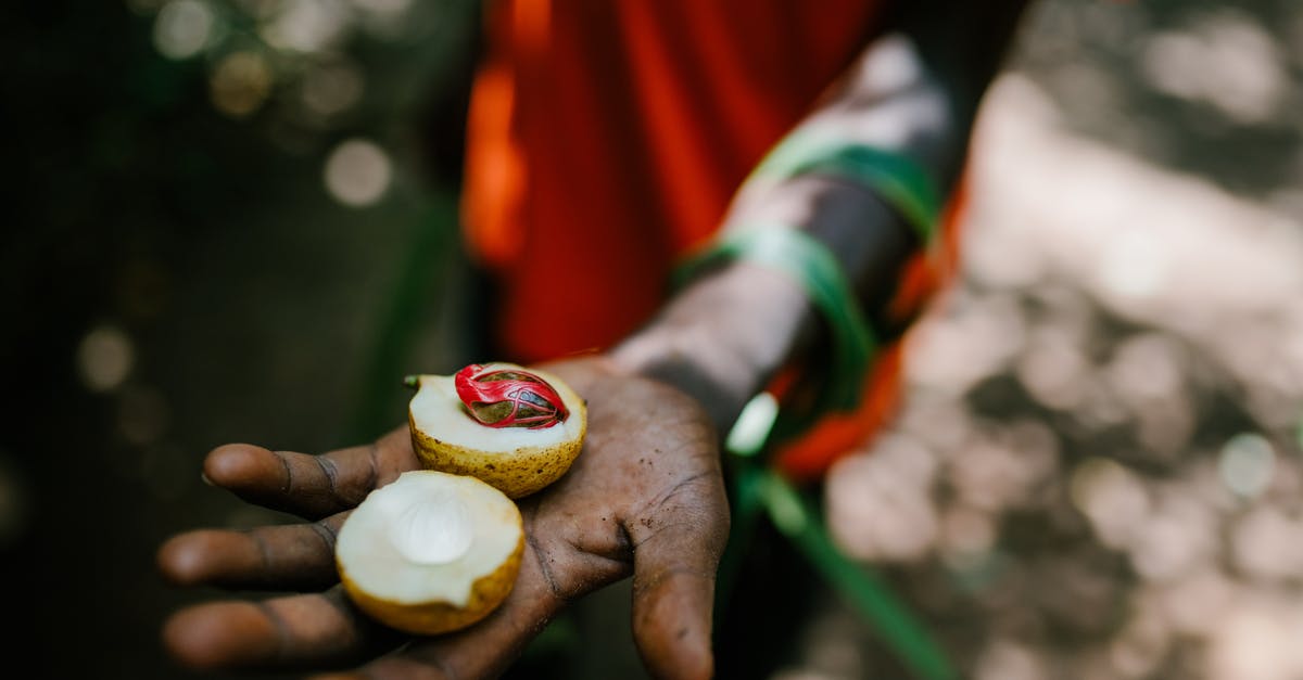 How to distinguish nutmeg freshness? - Unrecognizable crop ethnic person standing with fresh nutmeg in tropical woods in summer