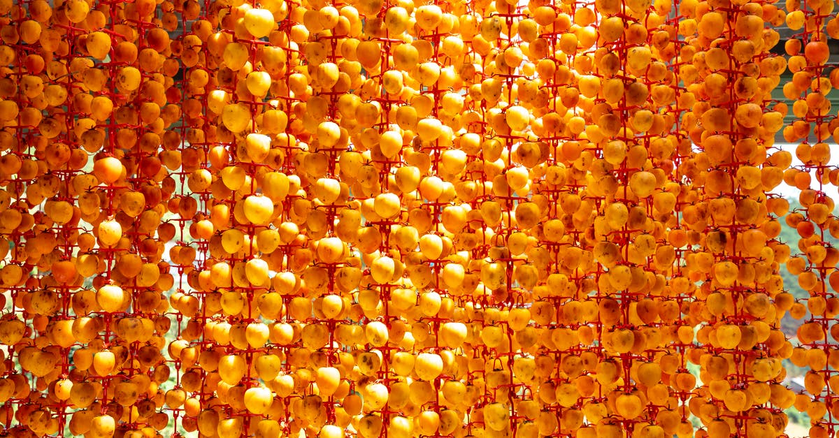 How to dry fruits without sunlight or a dehydrator? - Heap of appetizing ripe orange persimmons hanging on metal construction and drying on sunny day in countryside