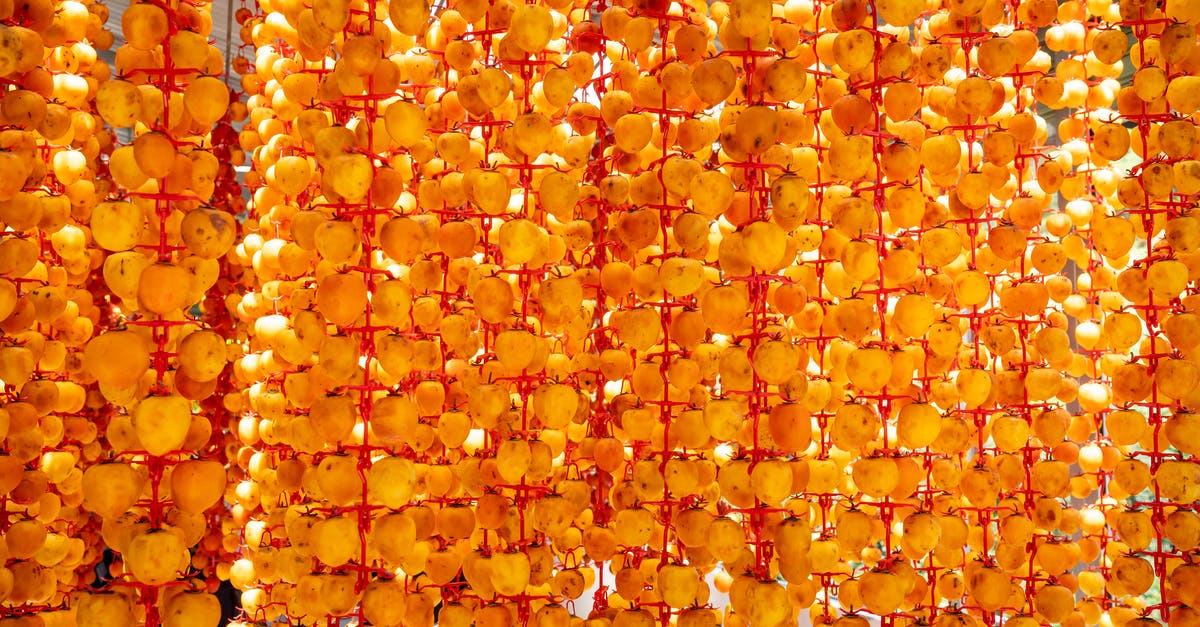 How to dry fruits without sunlight or a dehydrator? - Heap of whole ripe persimmon fruits strung on threads and drying on sunny day