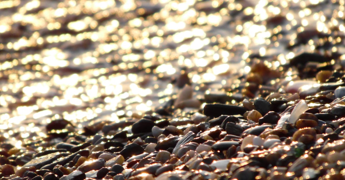 How to dry wet sugar? [closed] - Pebbles Near Body of Water