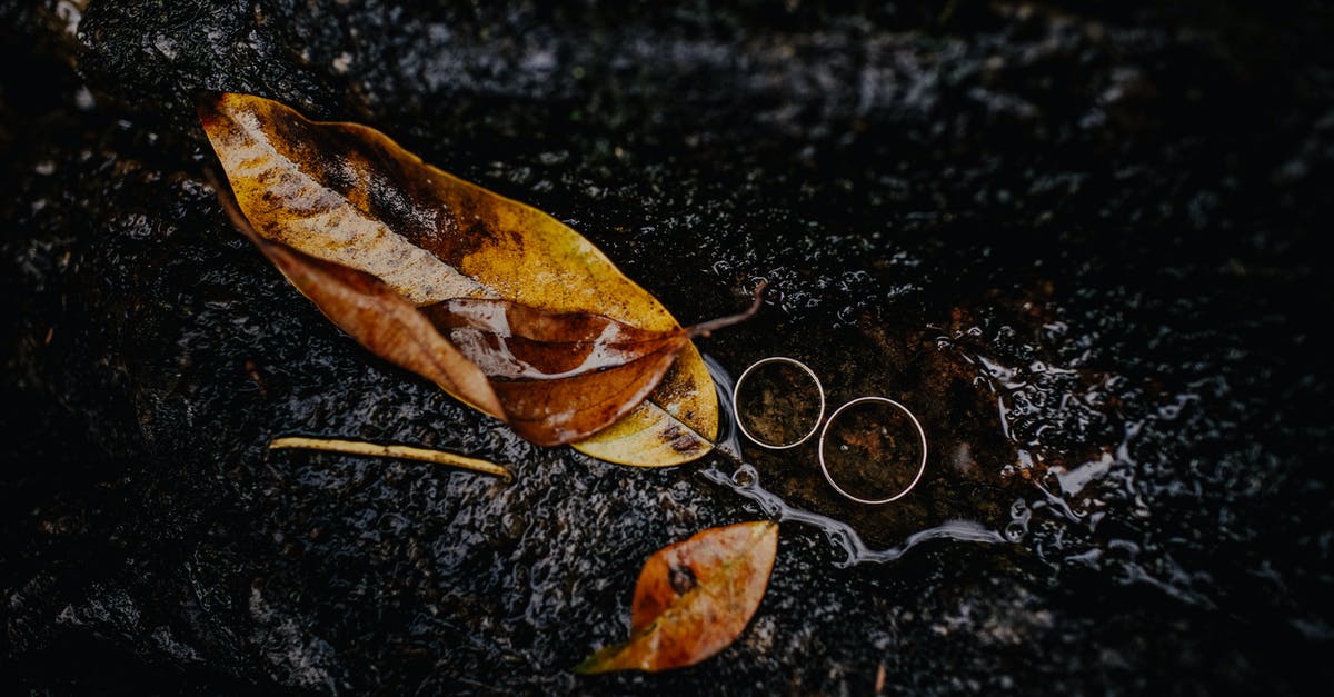 How to dry wet sugar? [closed] - Brown Wet Leaves