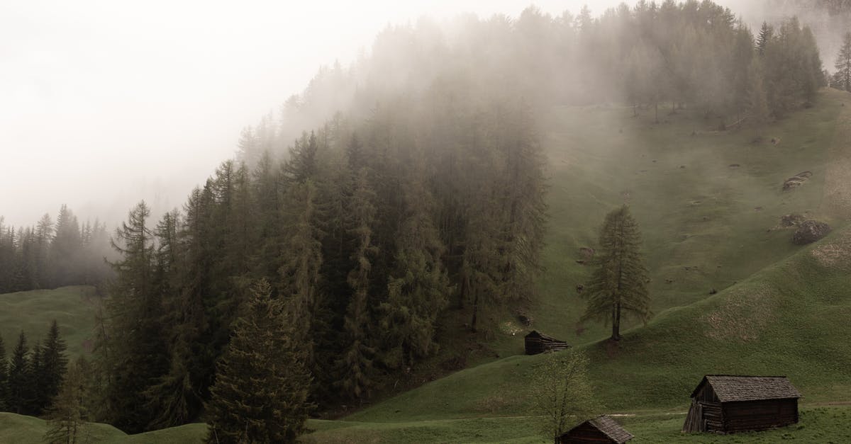 How to eat a spruce tree - Scenic landscape of weathered cottages located on foggy green hill