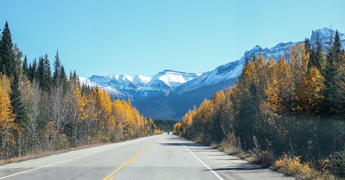 How to effectively drain frozen vegetables? - Empty straight asphalt roadway between colorful trees against blue sky and mountain ridge with peaks covered with snow in nature