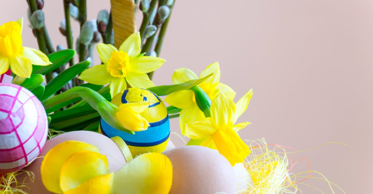 how to fry eggs 200+ with no green and no breakage - Close-up Photography of Yellow Daffodil Flowers