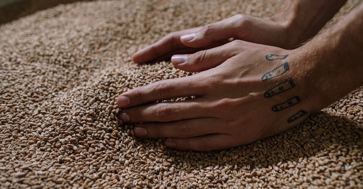 How To Get Flavour Into Dried Grains And Pulses - A Person Holding Dried Grains