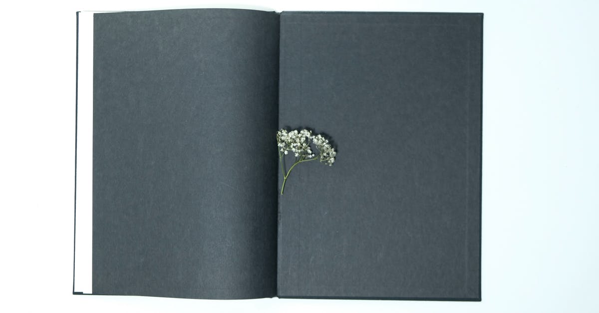 How to get rid of tiny black spots on white plastic cutting board? - Top view of opened book with black pages with small thin twig of white gypsophila plant