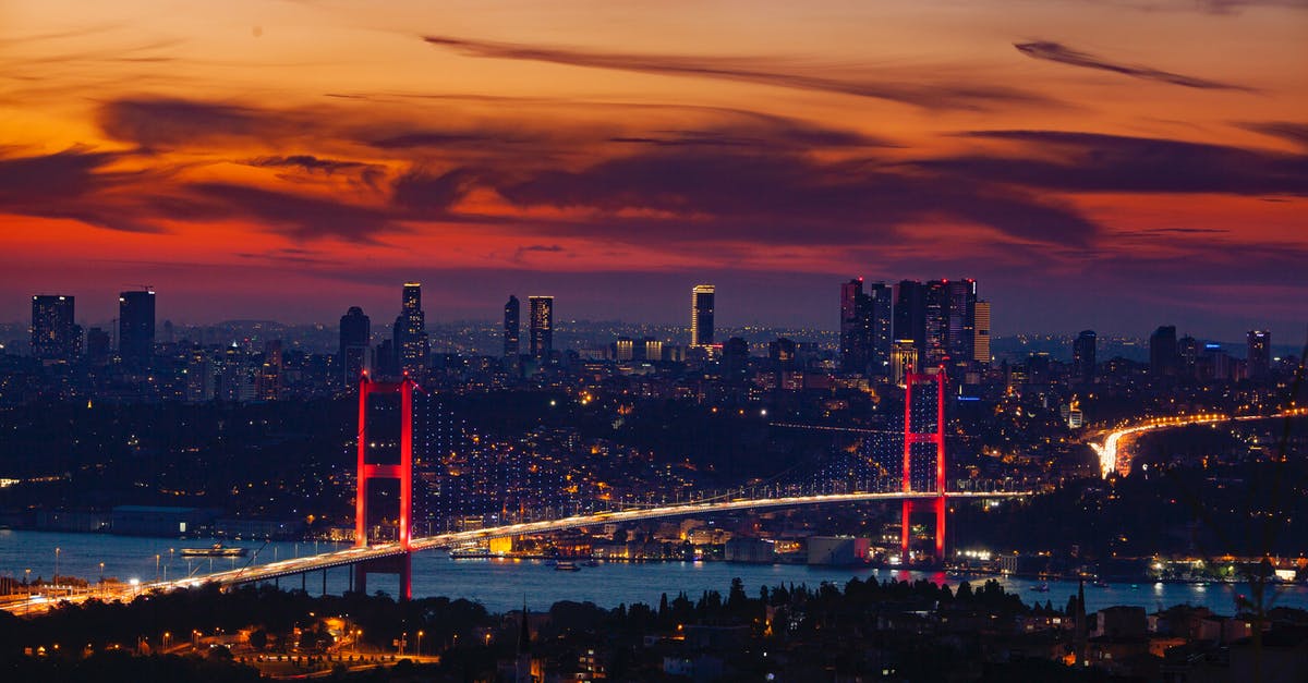How to identify turkey liver - Aerial View of City during Sunset