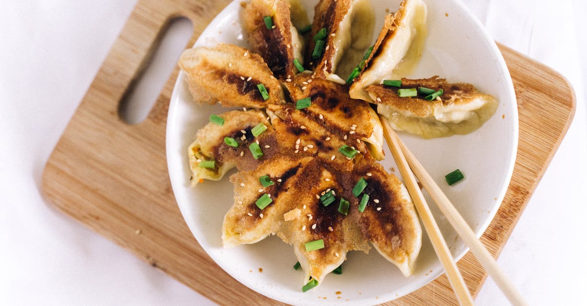 How to keep dumplings from quickly drying out - A Fried Dumplings on a Ceramic Plate