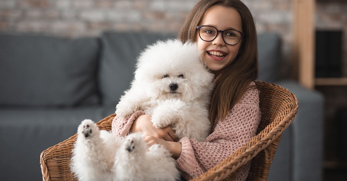 How to keep squid soft and fluffy? - Smiling girl in eye wear looking away while sitting in wicker chair hugging cute white fluffy dog of Bishon Freeze on blurred background of modern living room