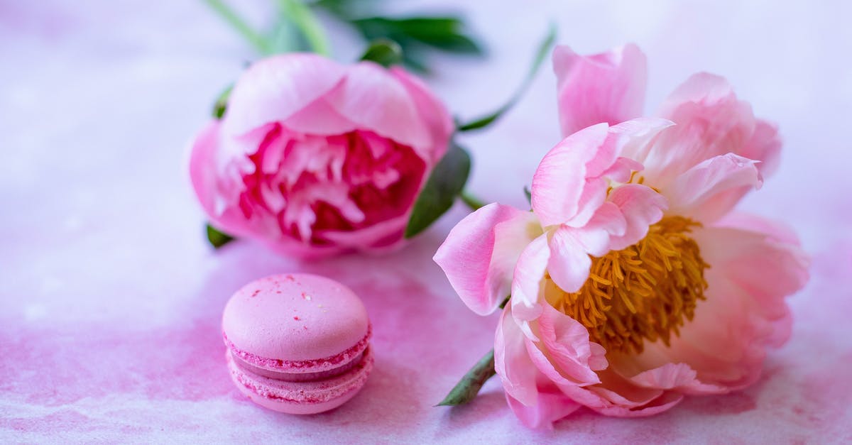 How to make a dessert with dynamically opening flower petals? - Macaroon and flowers on table