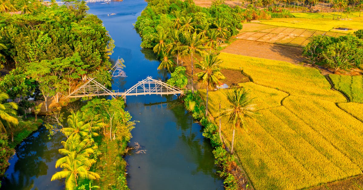 How to make flavoured rice like uncle ben's chinese rice? - Wide Angle Photography of River