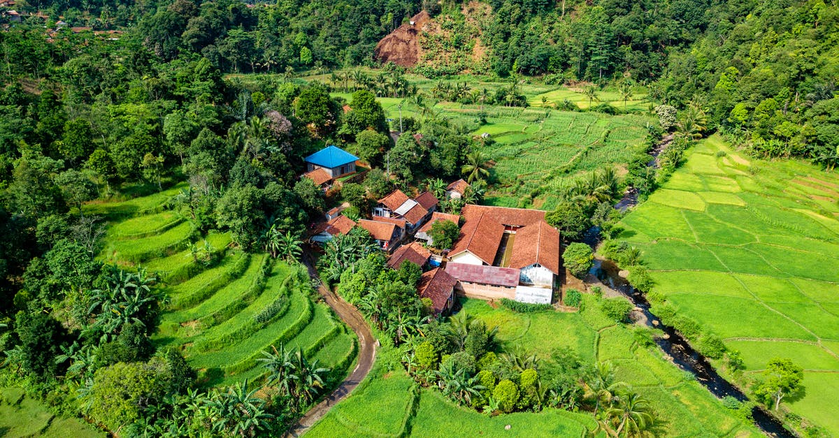 How to make flavoured rice like uncle ben's chinese rice? - Aerial View Photography of Houses