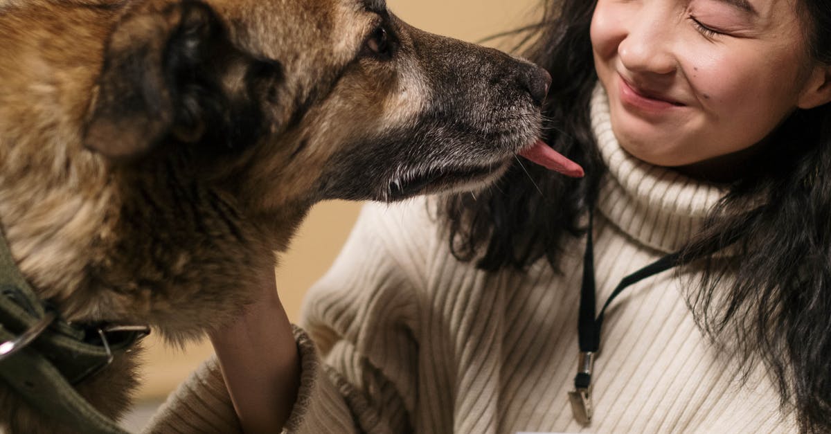 How to make fluffy Appam without Sweet? - Crop smiling woman with closed eyes and badge stroking cute dog with brown coat