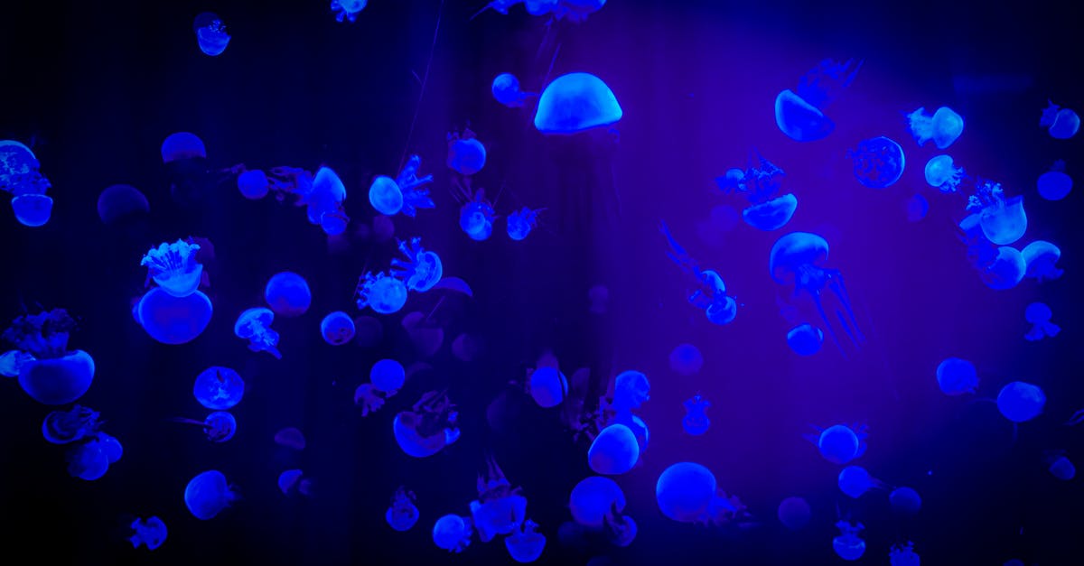 How to make glowing Jello without Tonic Water? - Jelly Fish With Reflection Of Blue Light