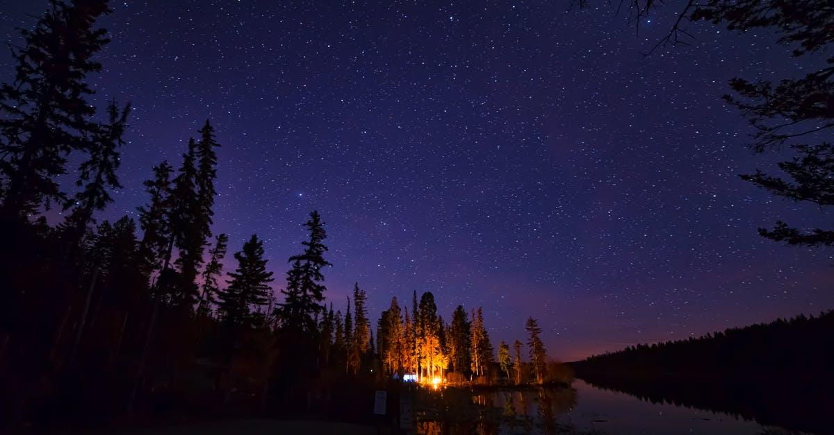 How to make glowing Jello without Tonic Water? - Pine Trees Under Starry Night Sky