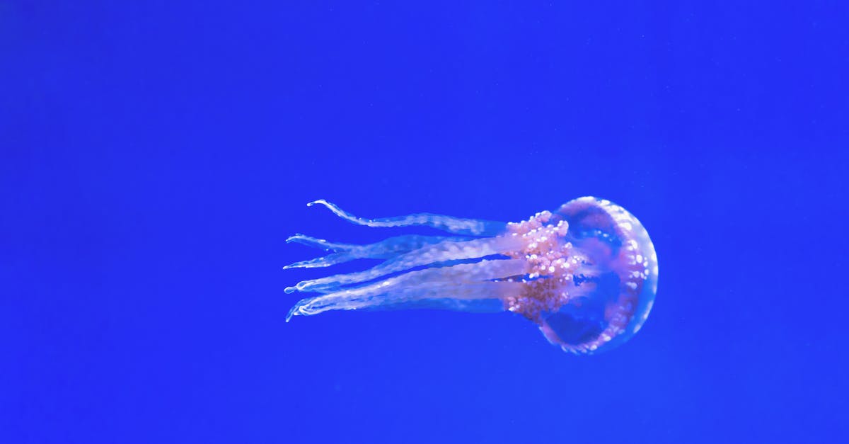 How to make glowing Jello without Tonic Water? - Pink Jellyfish