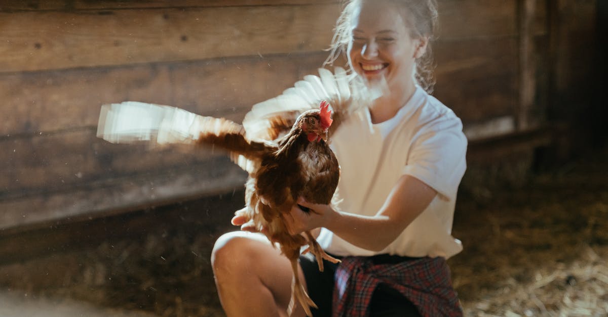 How to make Lebanese chicken wings - Happy Woman Holding a Hen 