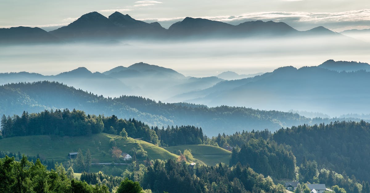 How to make ridge structure of crispy chicken - Mountainous valley with evergreen forest against misty sky