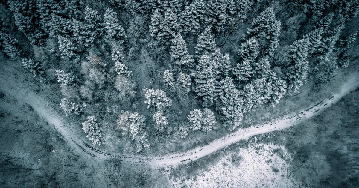 How to make sorbet have a snowy texture? - Aerial Photography of Forest and Road Covered With Snow