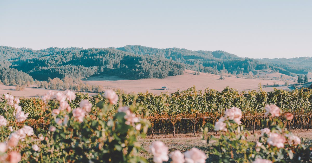 How to mount a ham? - Scenery view of blossoming bushes with gentle flowers against mountain under light sky on summer day in countryside