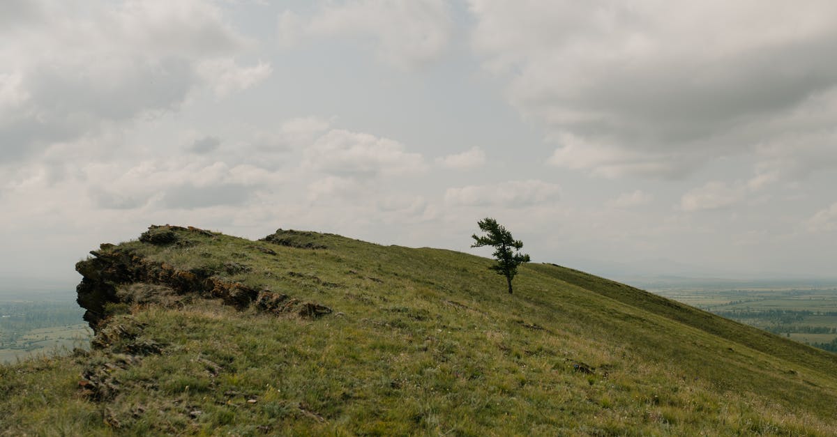 How to mount a ham? - Lonely tree on green mount under cloudy sky