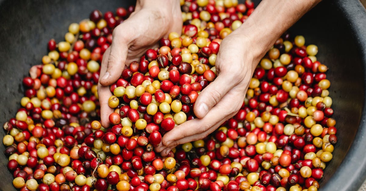 How to pick avocadoes with small seeds? - Crop man near heap of coffee beans