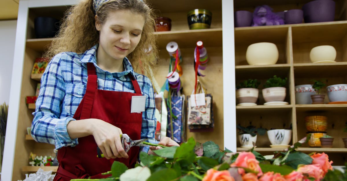 How to prepare mutton so it's not tough? - From below of positive female florist in apron and hairband using scissors for cutting low parts of rose branches placed on table in workspace against shelves with flower pots and decorations for presents