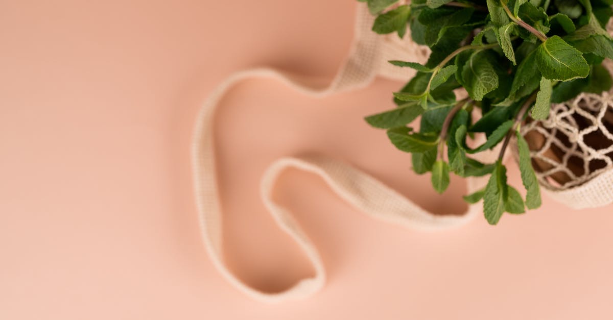 How to preserve the green colour of mint when doing spherification? - Top view of aromatic mint leaves with wavy stems in eco friendly bag on pastel background