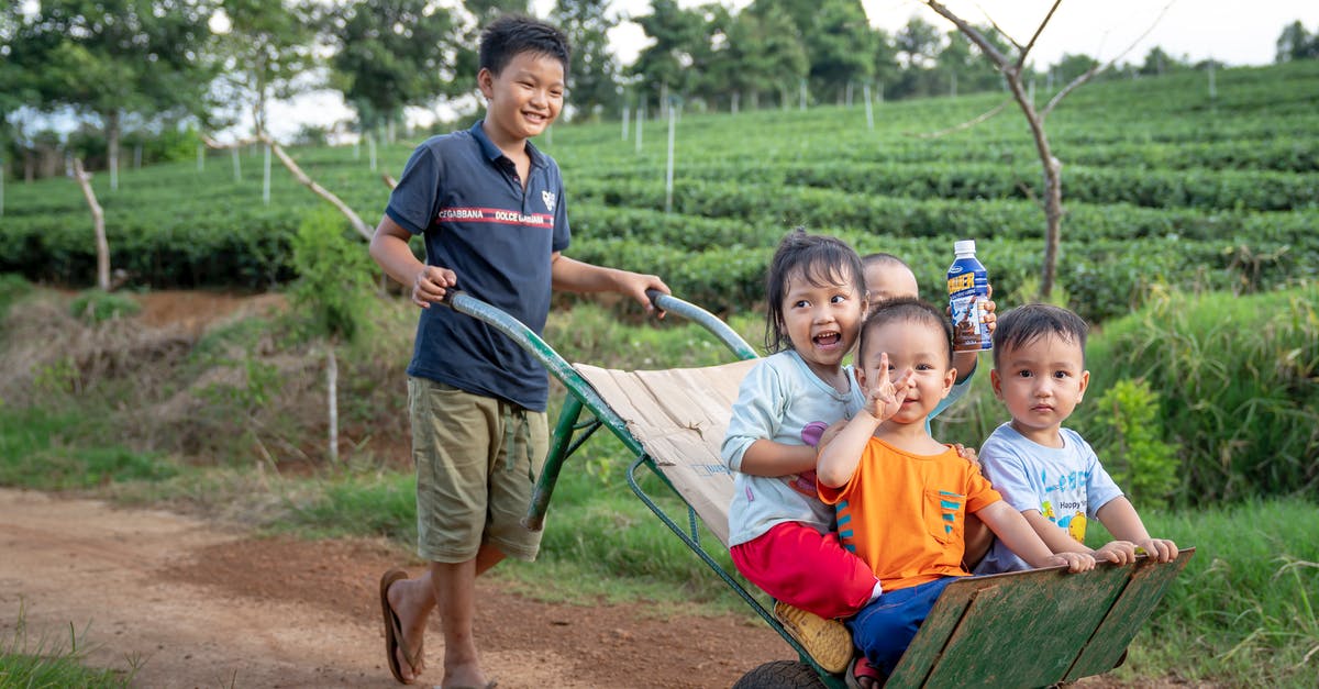 How to pump same amount of paste every time? - Funny Asian toddlers having fun while brother riding metal wheelbarrow on rural road in green agricultural plantation
