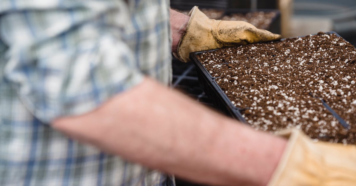 How to remove soil smell from beetroots? - Crop unrecognizable gardener holding container with soil