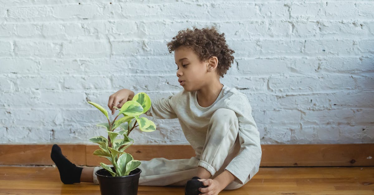 How to replicate Cerelac at home? - Calm black boy with flowerpot