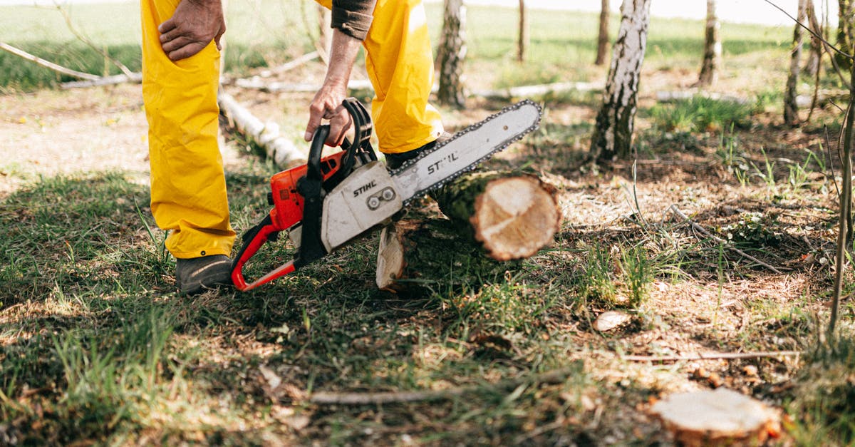 How to season a carbon steel pan on an electric hob - Crop lumberman sawing log with electric power saw