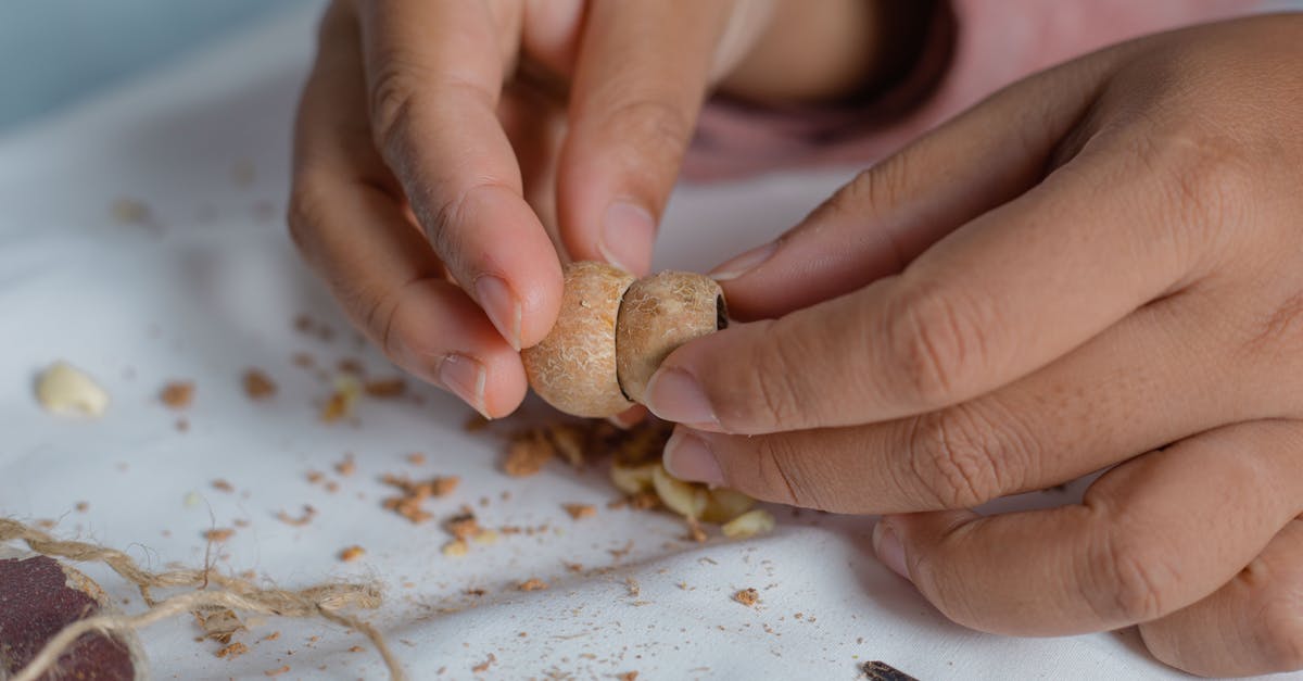 How to shell macadamias without a special tool? - Unrecognizable artisan fastening pieces of wood