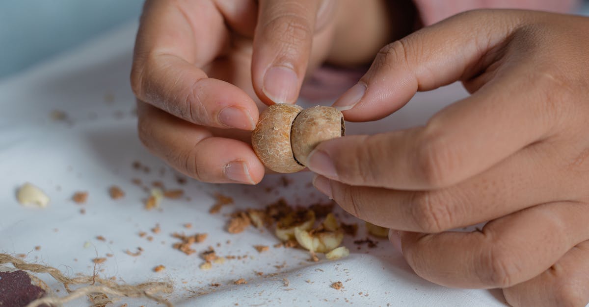 How to shell macadamias without a special tool? - Anonymous person fastening shells at table