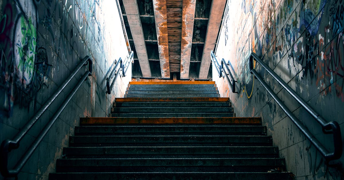 How to steep honeysuckle - A Concrete Stairway With Steel Railings