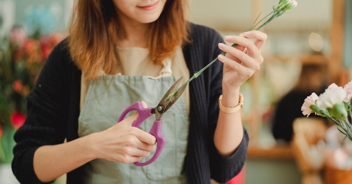 How to store cut potatoes for the morning? - Crop female florist in apron holding scissors and cutting stem of flower while working in floral shop