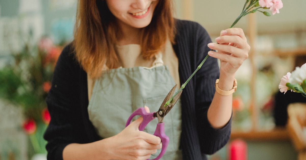 How to store cut potatoes for the morning? - Crop happy Asian florist cutting flower stem in floral store