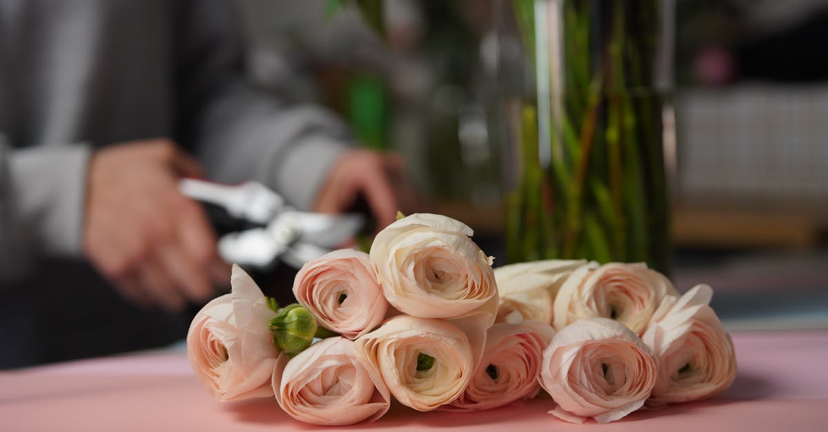 How to store cut potatoes for the morning? - Florist cutting flowers with instrument in workshop