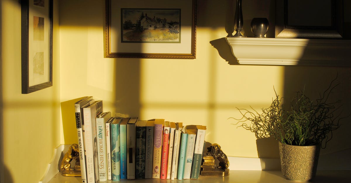 How to store live scallops? - Shelf with books souvenirs and verdant potted flower in room corner in sunlight
