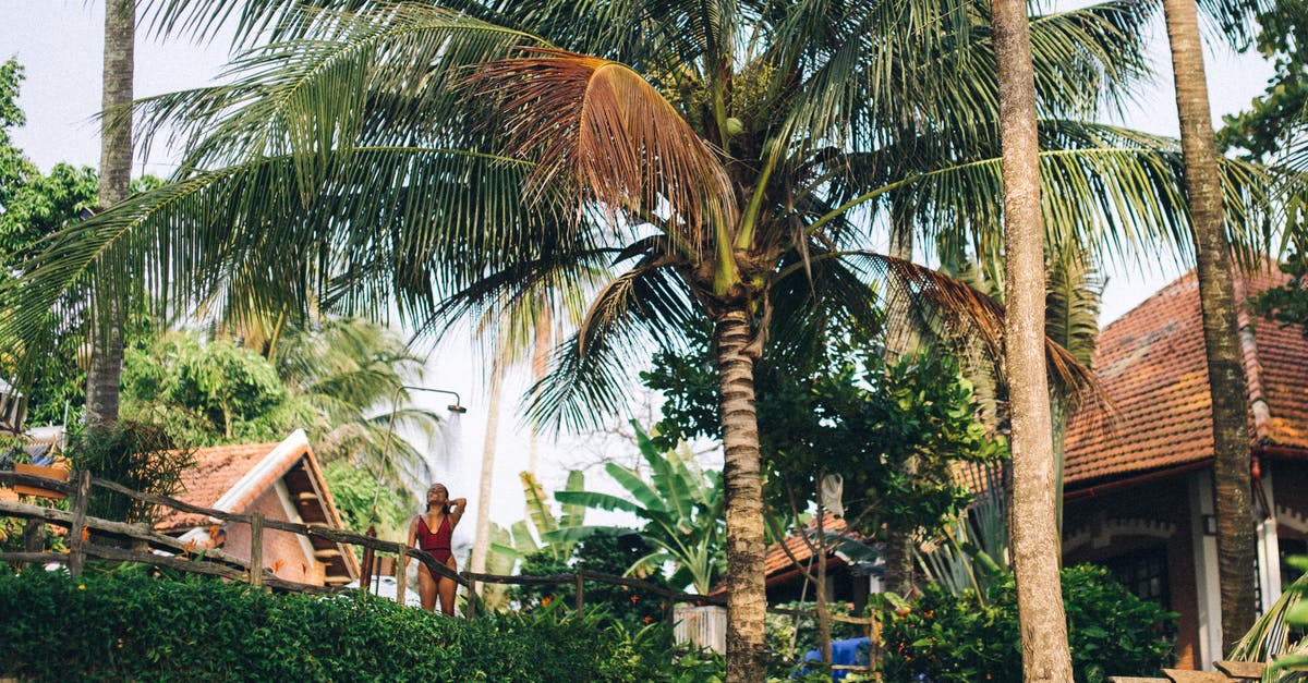 How to substitute unsweetened coconut for sweetened coconut? - Woman in Maroon Swimsuit Having a Shower