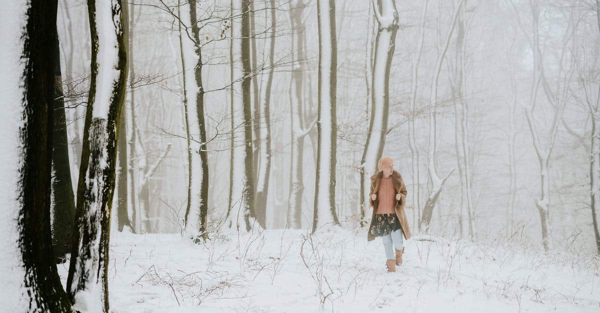 How to time the blanching of potatoes for freezing - Woman in Brown Coat Walking on Snow Covered Ground