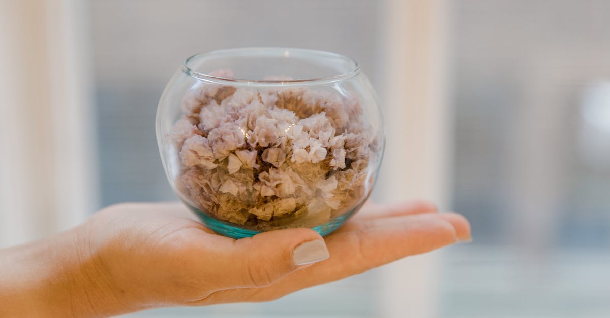 How to whip up a small quantity of Italian meringue? - Person Holding Clear Glass Bowl With Green Kush