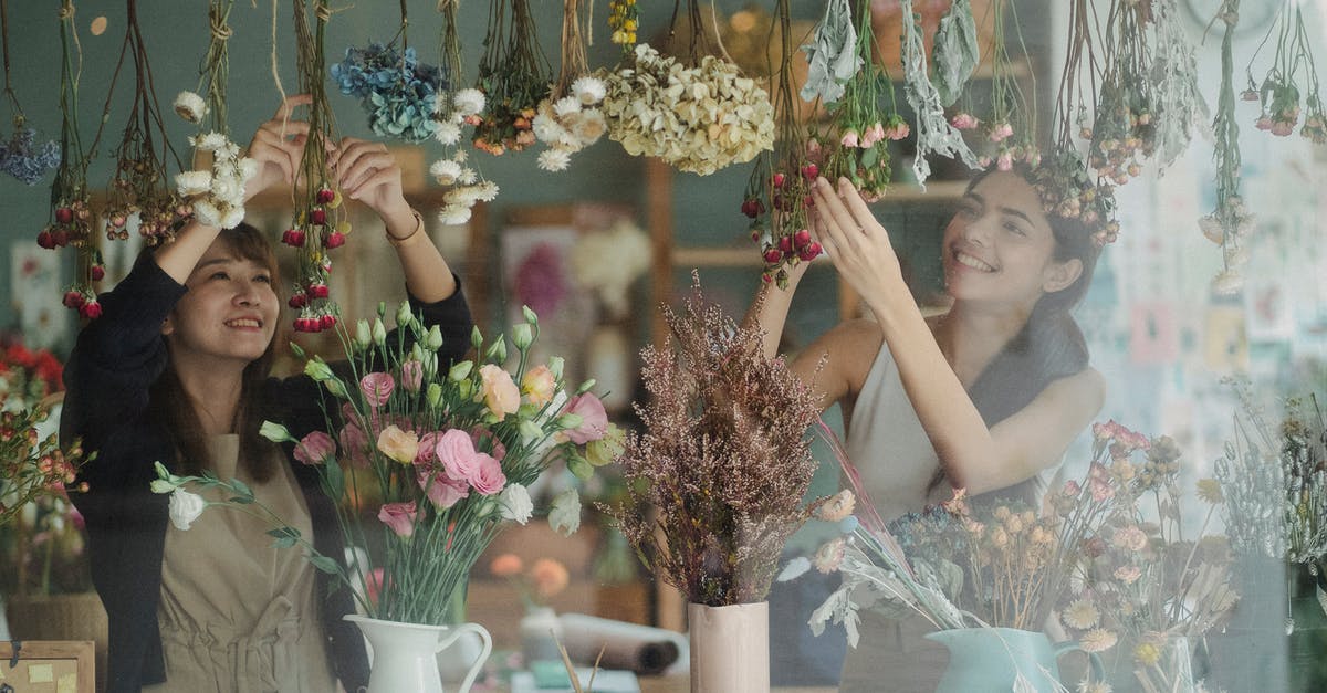 How to work with Dried Mushrooms? - Through glass window of positive diverse florists decorating counter of cozy floristry store with various flowers in daytime