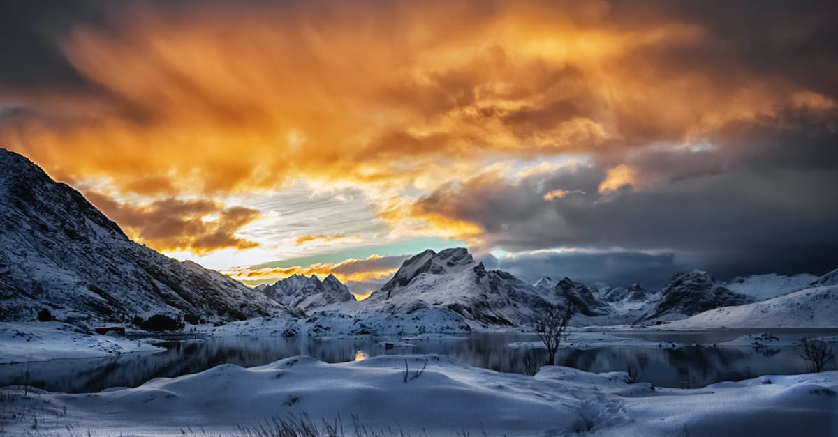 How well do frozen oranges peel after frozen? - Snow Capped Mountain