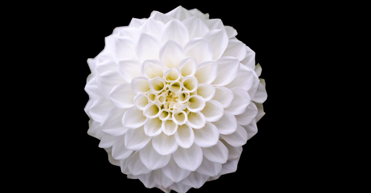 How would you use a single lemon? [closed] - Macro Shot of White Flower