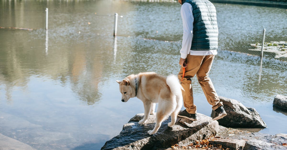 I am making duck confit this weekend and will refrigerate it. I am curious though; what are the concerns for leaving it in a cool room? - Side view of young trendy ethnic male owner standing on rocky boulder near lake with curious Akita dog while spending time together in nature on sunny day